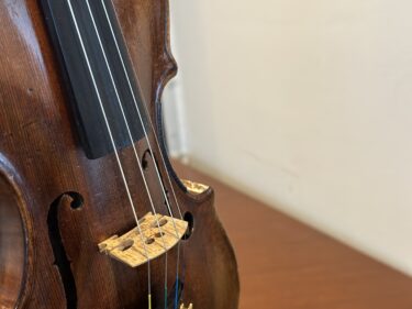 The Hidden Secrets to Mastering Your Violin Techniques