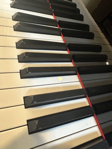Piano: The Missing Piece in Every Violin Student’s Puzzle!
